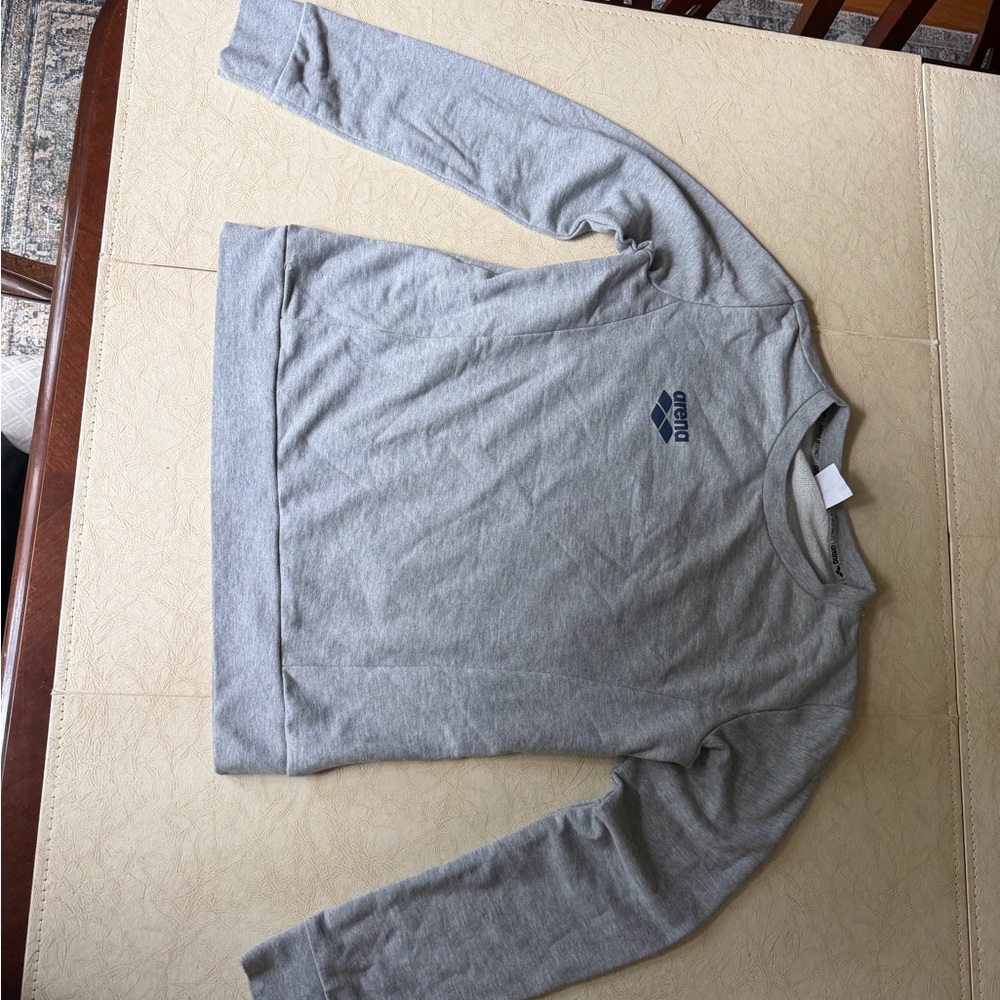 Arena Crewneck Sweatshirt - Gray